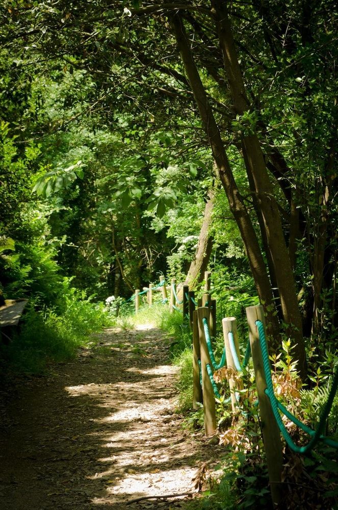 Pemandangan luar