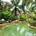 Kolam renang