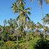 Pemandangan luar