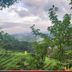 Pemandangan luar