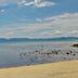 Pantai