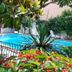 Kolam renang