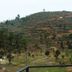 Pemandangan luar