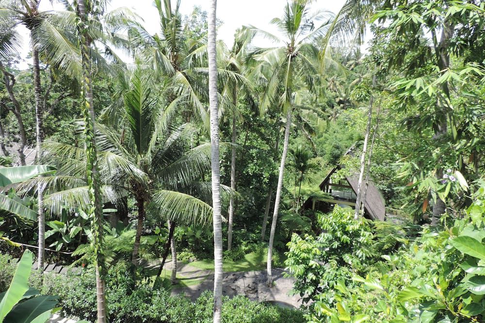 Pemandangan luar