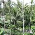 Pemandangan luar