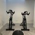 Gim