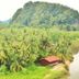 Pemandangan luar