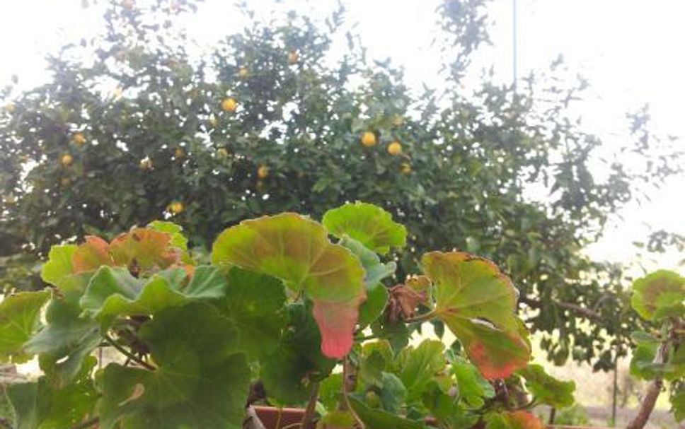Pemandangan luar Gambar