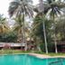 Kolam renang