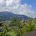 Pemandangan luar