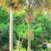 Pemandangan luar