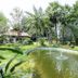 Pemandangan luar
