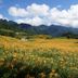 Pemandangan luar