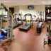 Gim