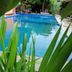 Kolam renang