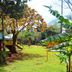 Pemandangan luar