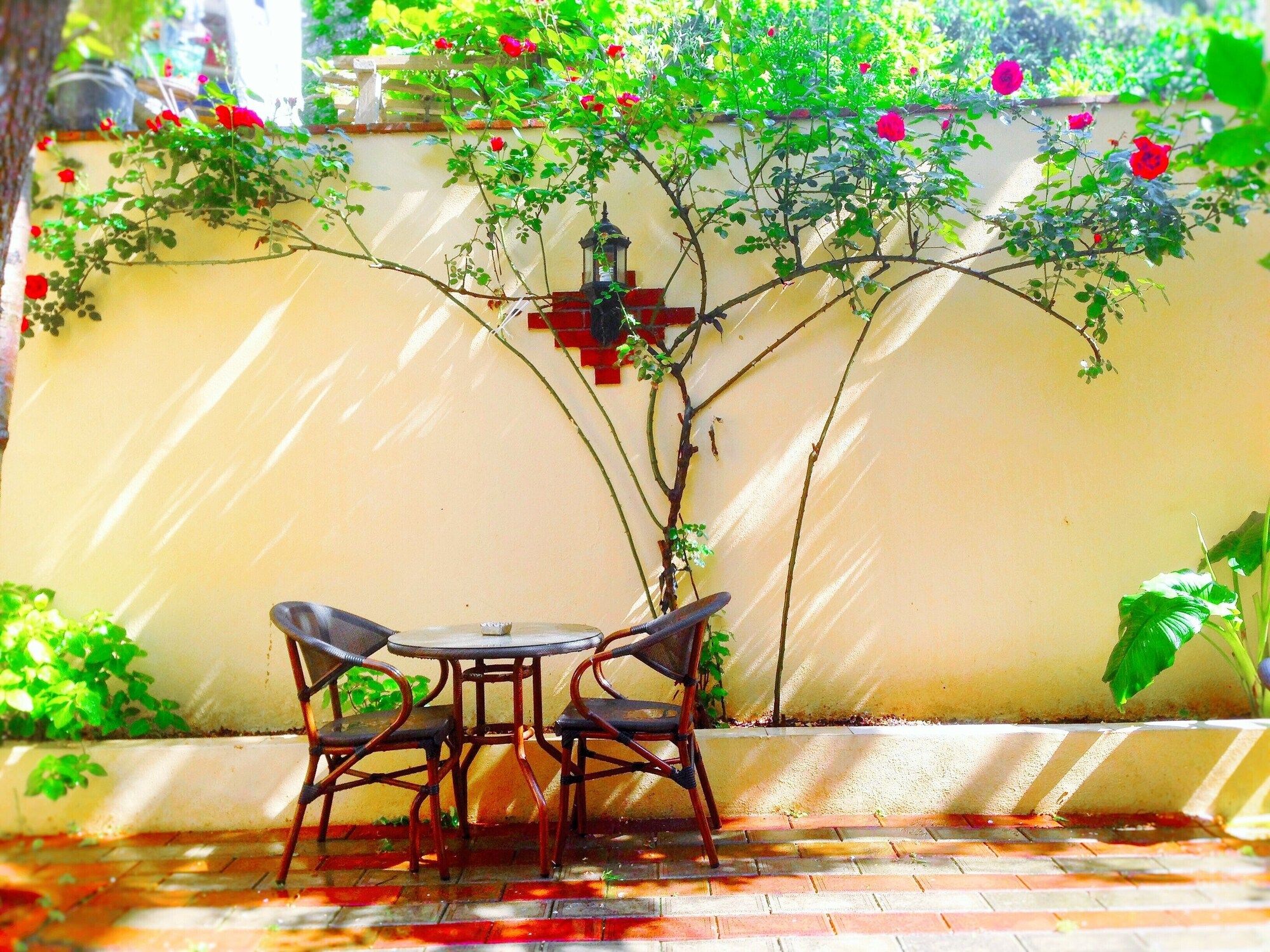 Patio Gambar