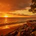 Pantai