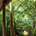 Pemandangan luar