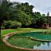 Kolam renang