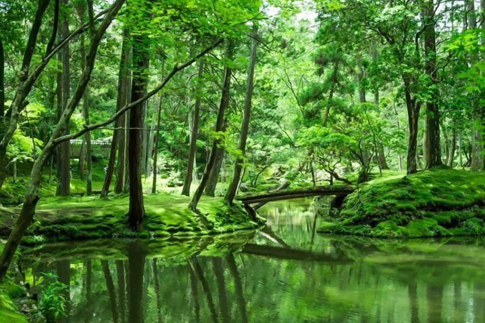 Pemandangan luar