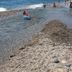 Pantai