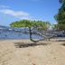 Pantai
