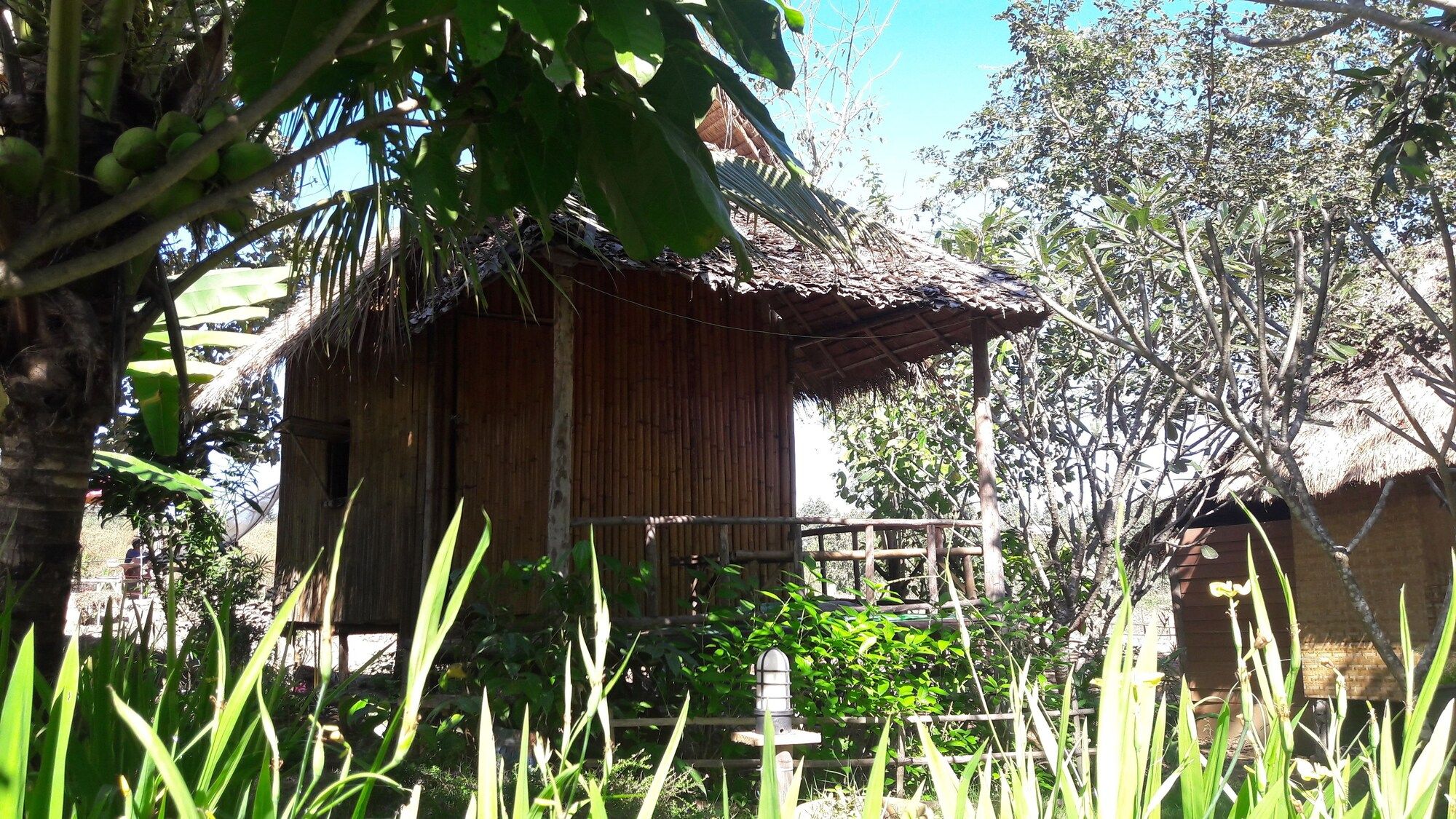 Pemandangan luar
