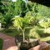Pemandangan luar