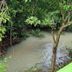 Pemandangan luar