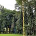 Pemandangan luar
