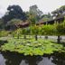 Pemandangan luar