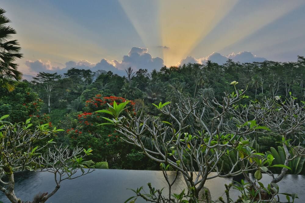 Pemandangan luar