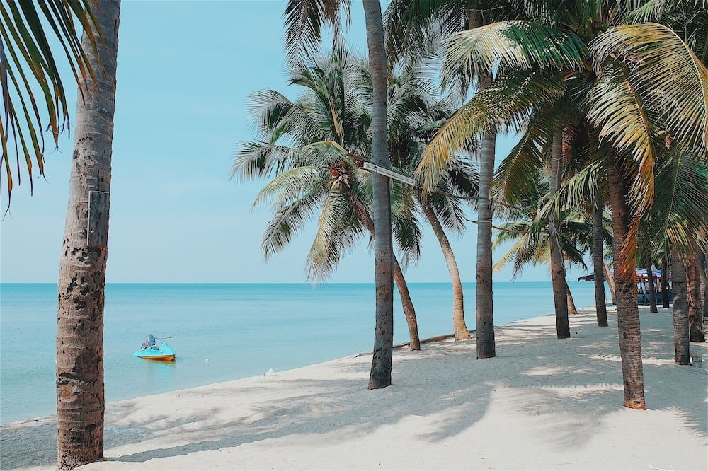 Pantai