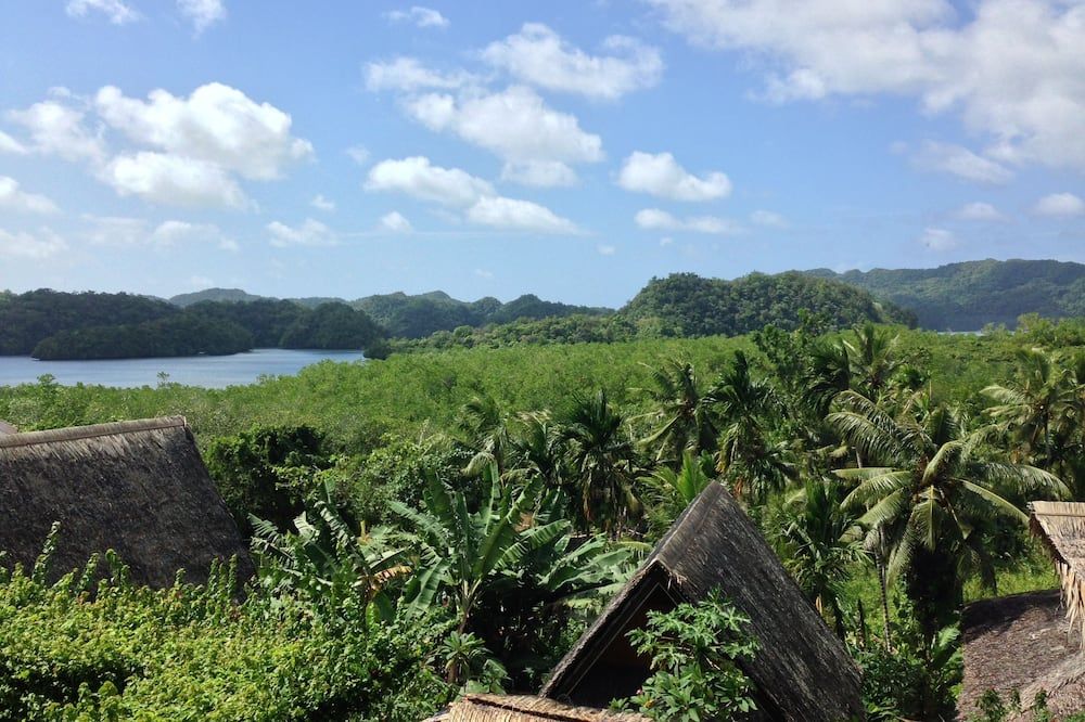 Pemandangan luar