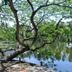 Pemandangan luar