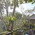 Pemandangan luar