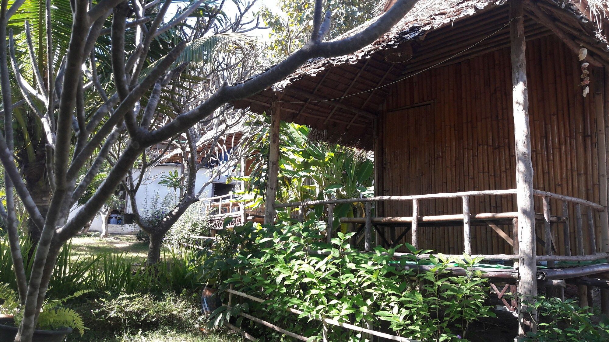 Pemandangan luar