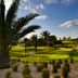 Padang golf