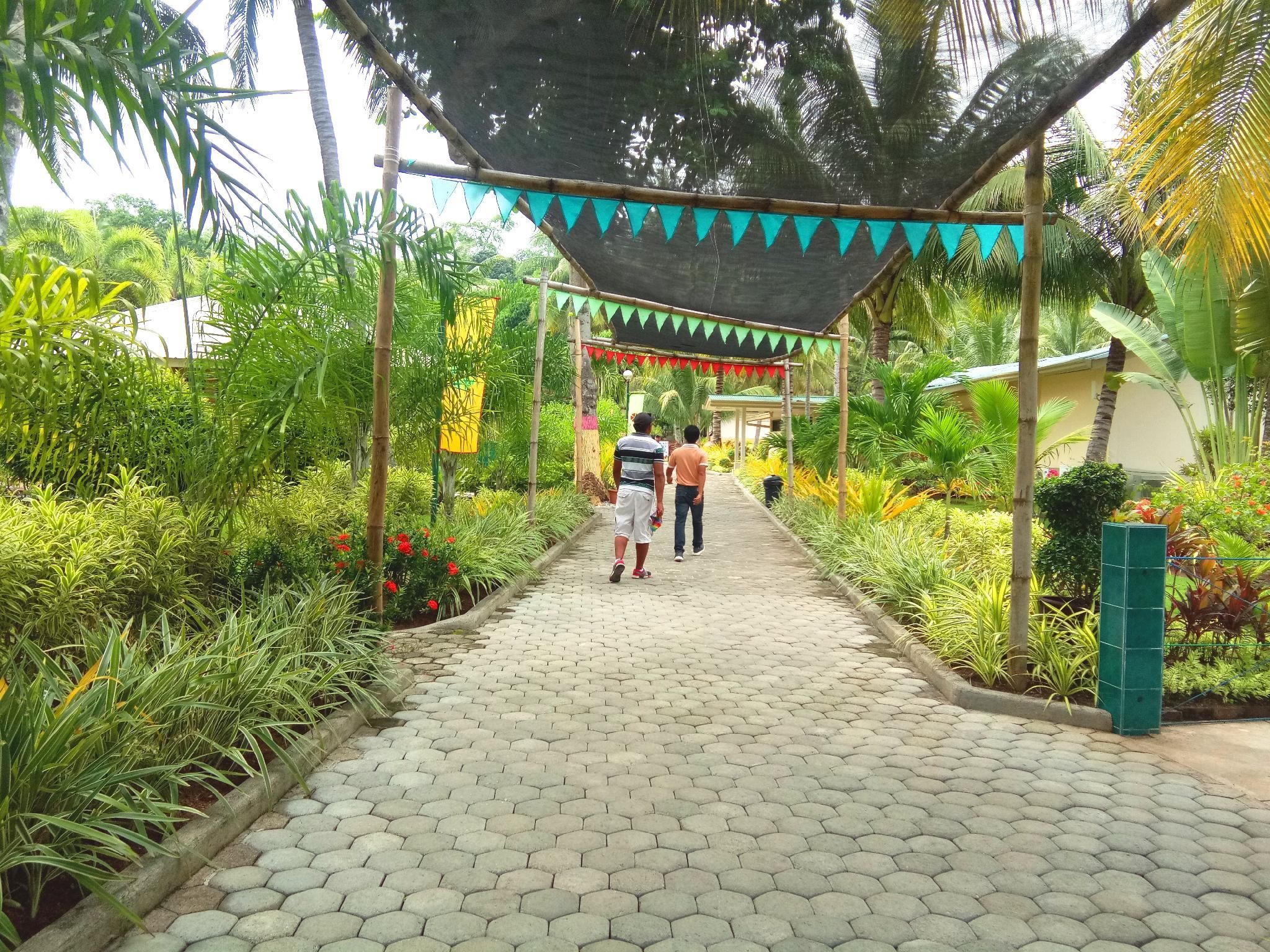 Pemandangan luar
