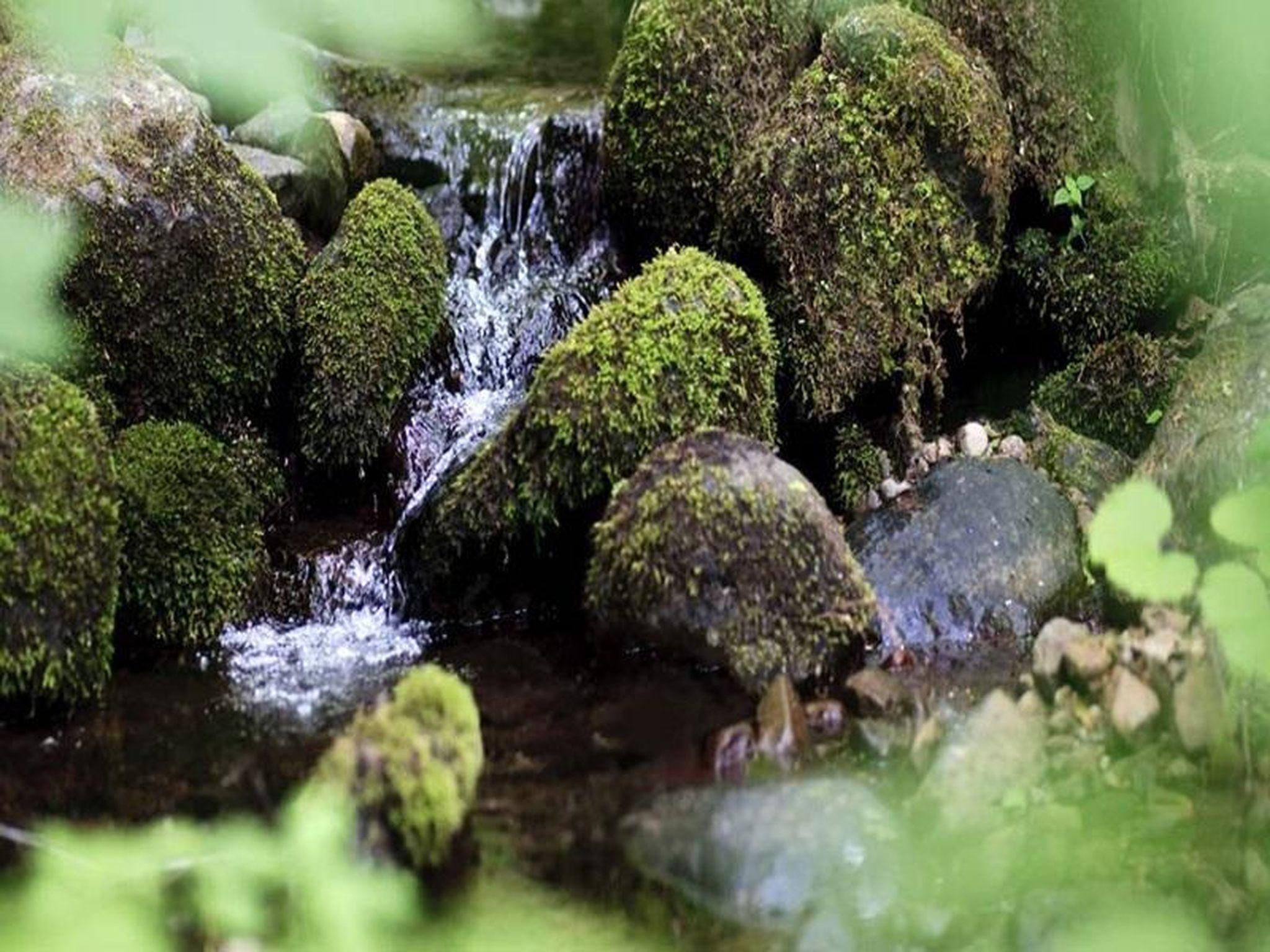 Pemandangan luar