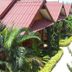 Pemandangan luar