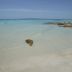 Pantai