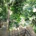 Pemandangan luar