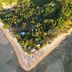 Pantai