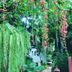 Pemandangan luar
