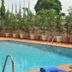 Kolam renang