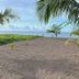Pantai