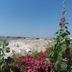 Pantai