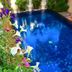 Kolam renang